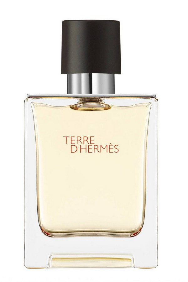 Hermes Terre D Hermes EDP 100 ML ERKEK PARFÜM görsel 2